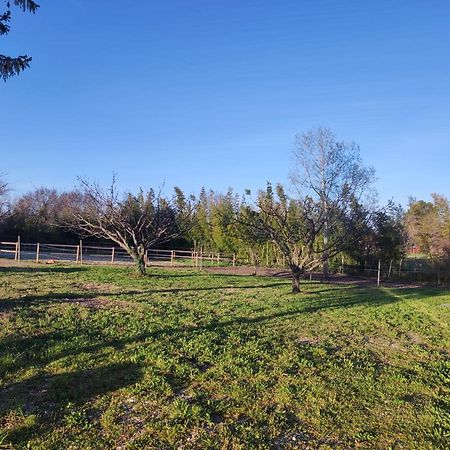 Maison A La Campagne Bouchet  Екстер'єр фото