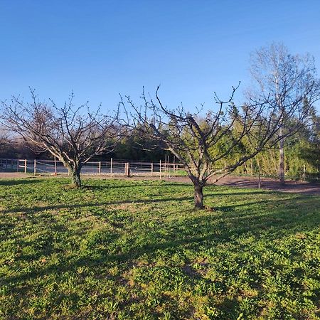 Maison A La Campagne Bouchet  Екстер'єр фото