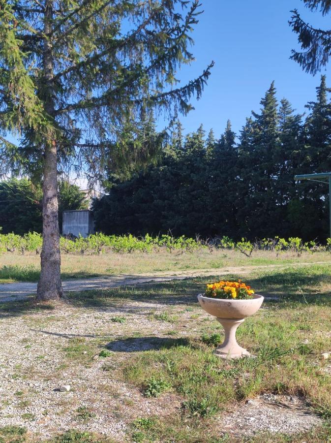 Maison A La Campagne Bouchet  Екстер'єр фото