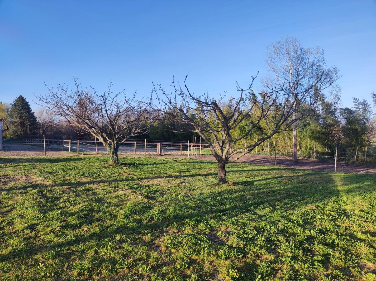 Maison A La Campagne Bouchet  Екстер'єр фото